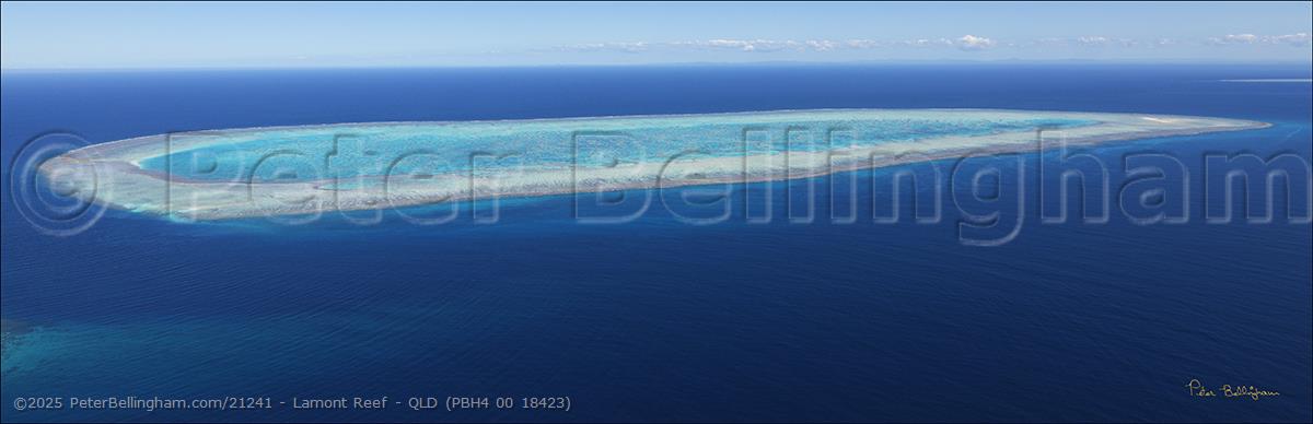 Peter Bellingham Photography Lamont Reef - QLD (PBH4 00 18423)